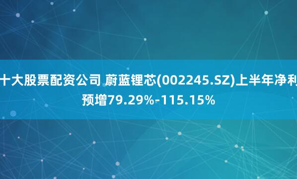 十大股票配资公司 蔚蓝锂芯(002245.SZ)上半年净利预增79.29%-115.15%