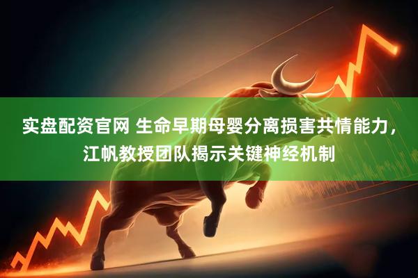 实盘配资官网 生命早期母婴分离损害共情能力，江帆教授团队揭示关键神经机制