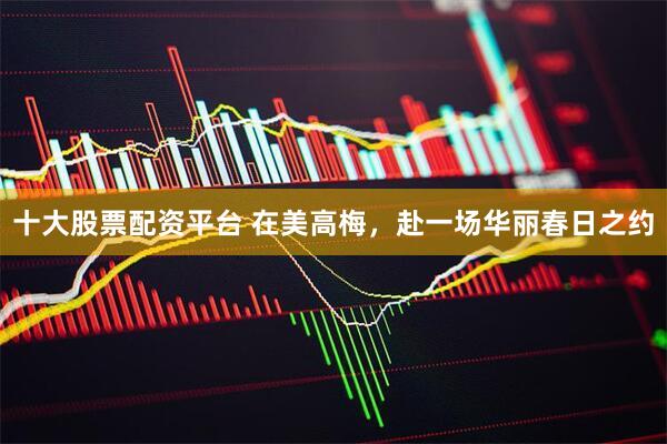十大股票配资平台 在美高梅，赴一场华丽春日之约