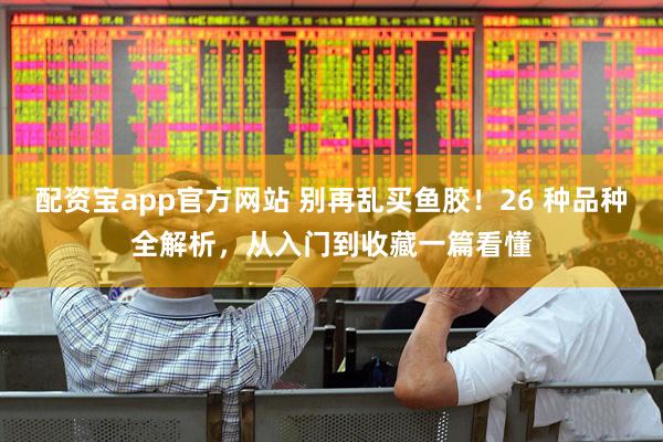 配资宝app官方网站 别再乱买鱼胶！26 种品种全解析，从入门到收藏一篇看懂
