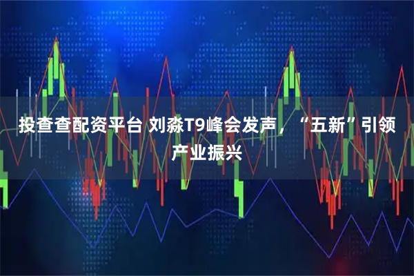 投查查配资平台 刘淼T9峰会发声，“五新”引领产业振兴